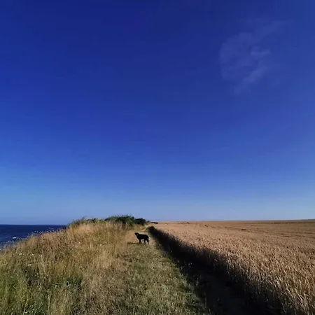 4 Person In Hébergement de vacances