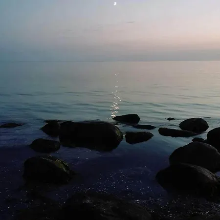 4 Person In Store Fuglede