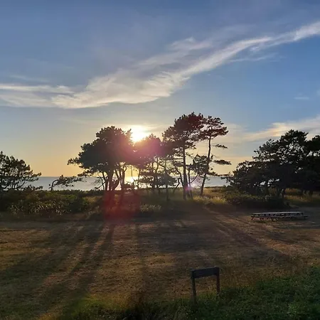 Hébergement de vacances 4 Person In