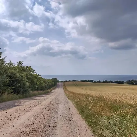 4 Person In Store Fuglede