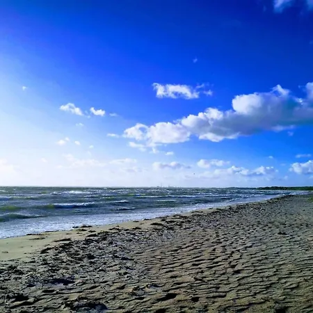 4 Person In * Store Fuglede